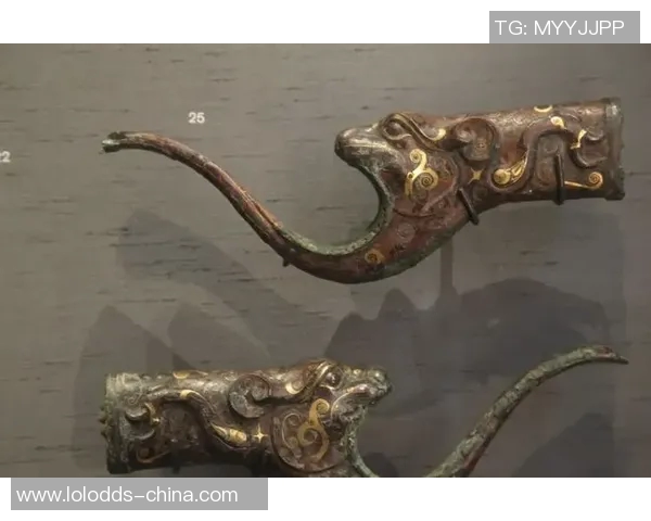 姚明文物的历史价值与文化传承探讨：从篮球巨星到珍贵遗产的演变之路